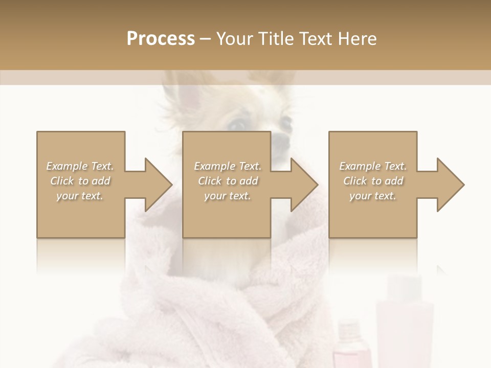 Sweet Chihuahua With Spa Accessories And Pink Towel Isolated On White Background PowerPoint Template