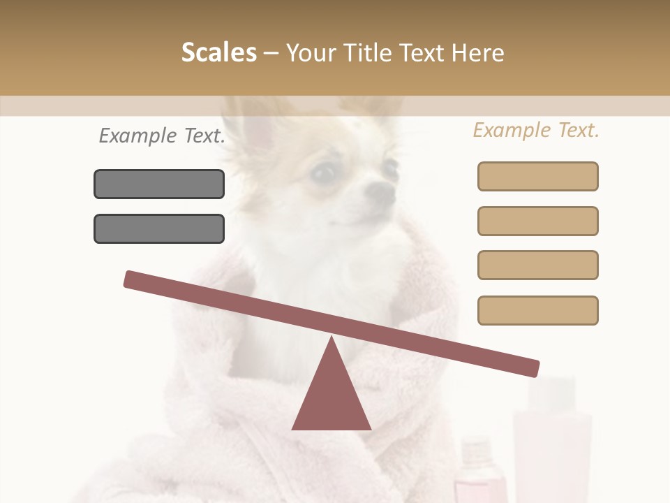 Sweet Chihuahua With Spa Accessories And Pink Towel Isolated On White Background PowerPoint Template