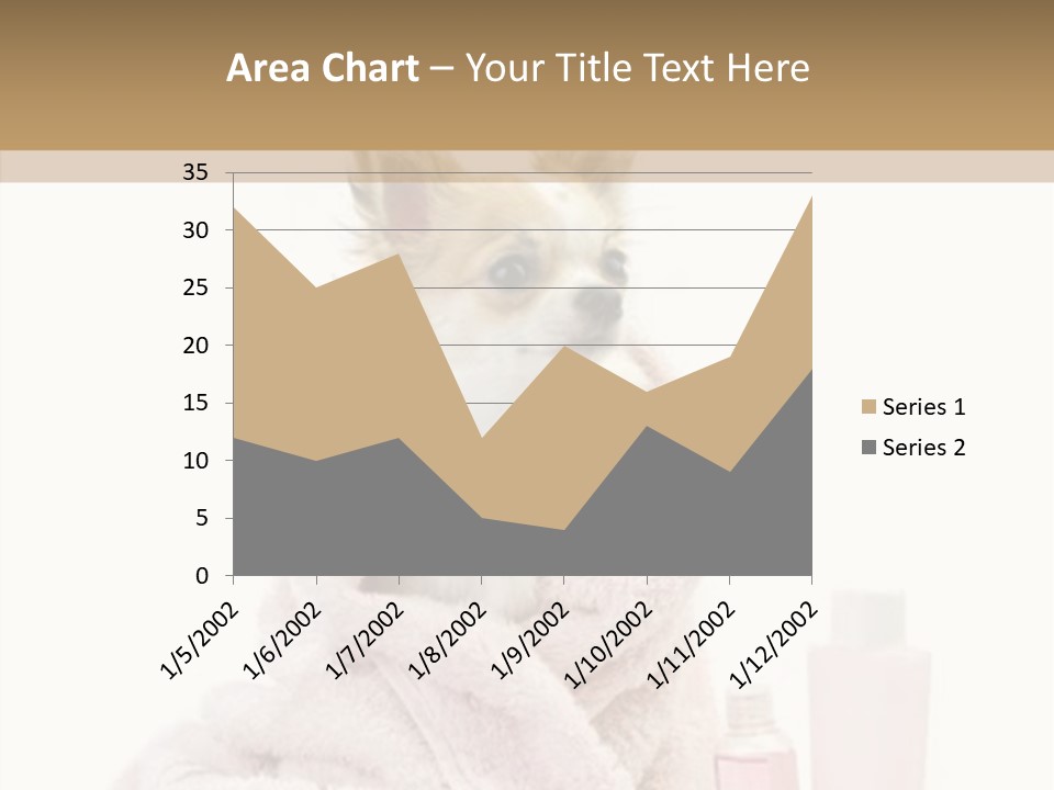 Sweet Chihuahua With Spa Accessories And Pink Towel Isolated On White Background PowerPoint Template