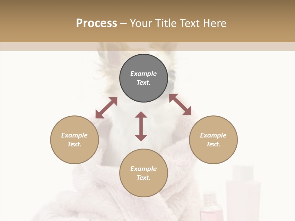 Sweet Chihuahua With Spa Accessories And Pink Towel Isolated On White Background PowerPoint Template