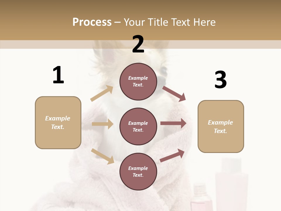 Sweet Chihuahua With Spa Accessories And Pink Towel Isolated On White Background PowerPoint Template