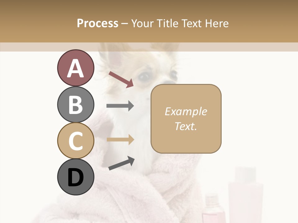 Sweet Chihuahua With Spa Accessories And Pink Towel Isolated On White Background PowerPoint Template