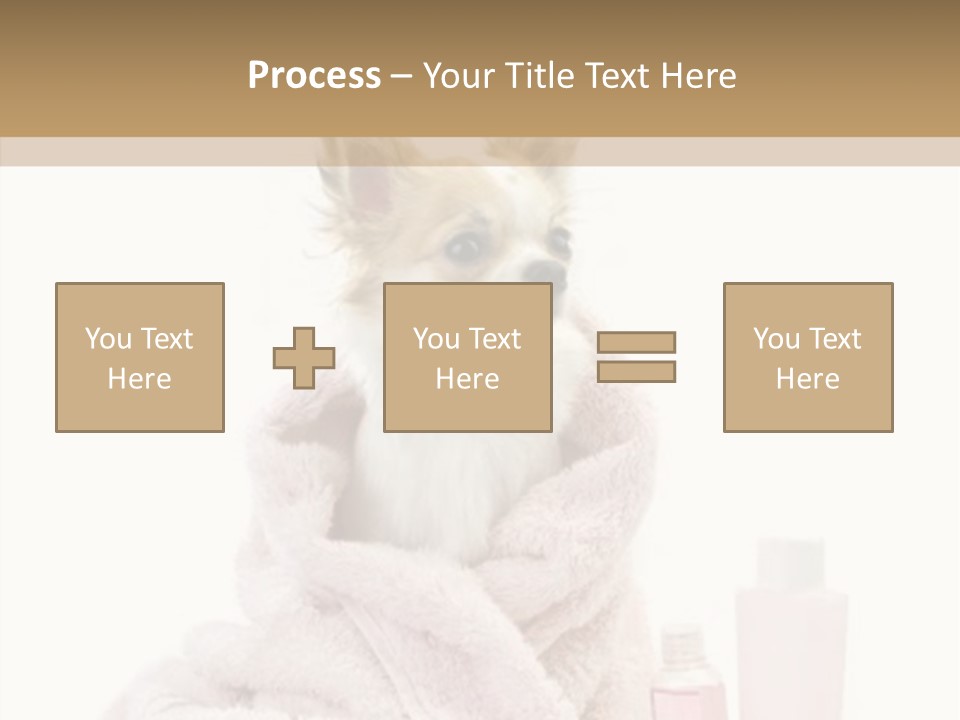 Sweet Chihuahua With Spa Accessories And Pink Towel Isolated On White Background PowerPoint Template