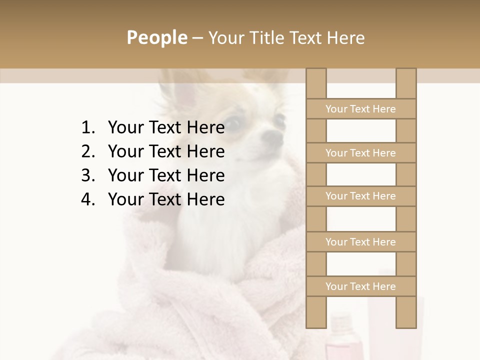 Sweet Chihuahua With Spa Accessories And Pink Towel Isolated On White Background PowerPoint Template