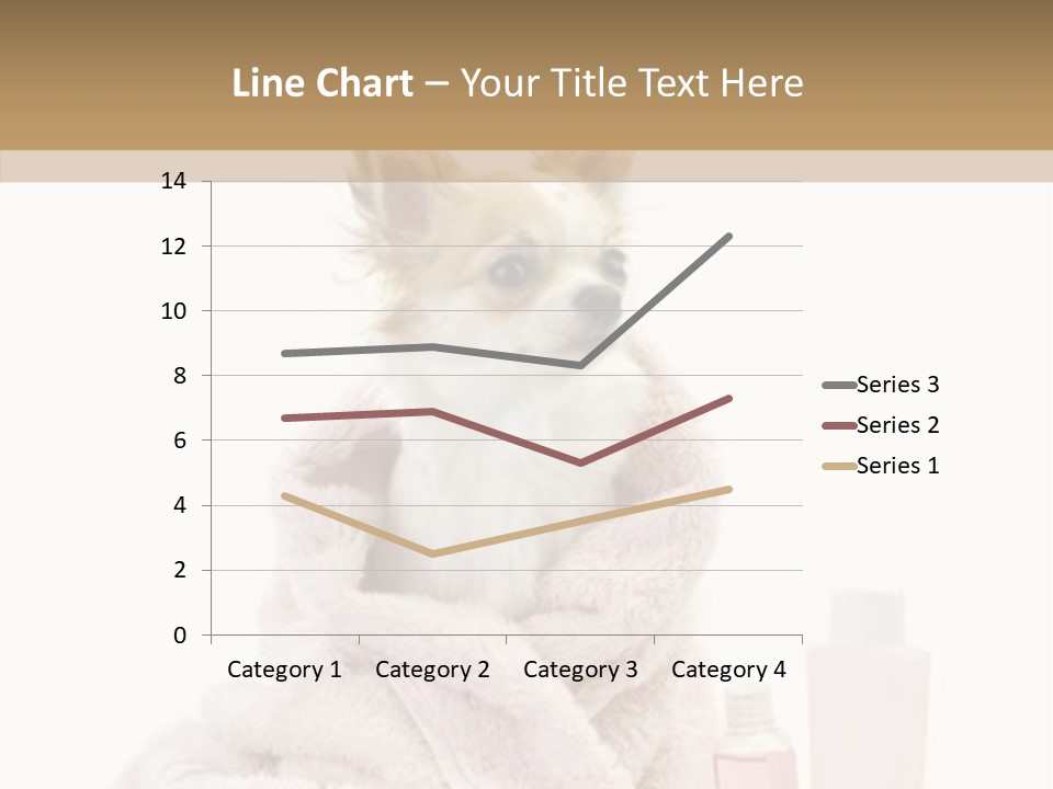 Sweet Chihuahua With Spa Accessories And Pink Towel Isolated On White Background PowerPoint Template