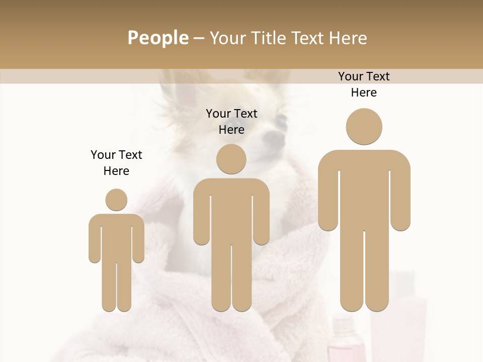 Sweet Chihuahua With Spa Accessories And Pink Towel Isolated On White Background PowerPoint Template