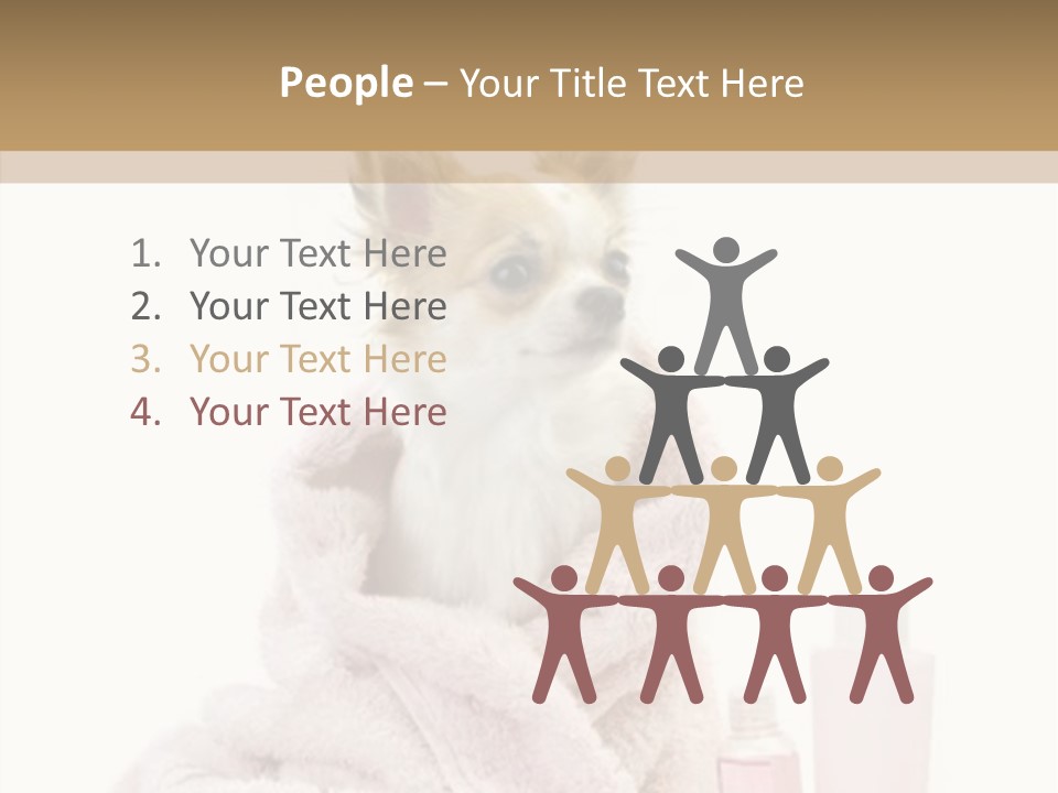 Sweet Chihuahua With Spa Accessories And Pink Towel Isolated On White Background PowerPoint Template