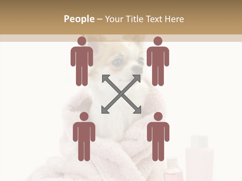 Sweet Chihuahua With Spa Accessories And Pink Towel Isolated On White Background PowerPoint Template