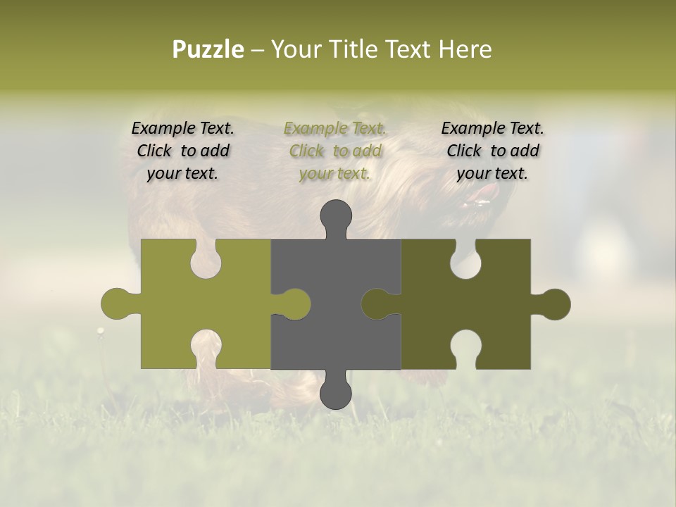 Small Brabant Griffonon PowerPoint Template