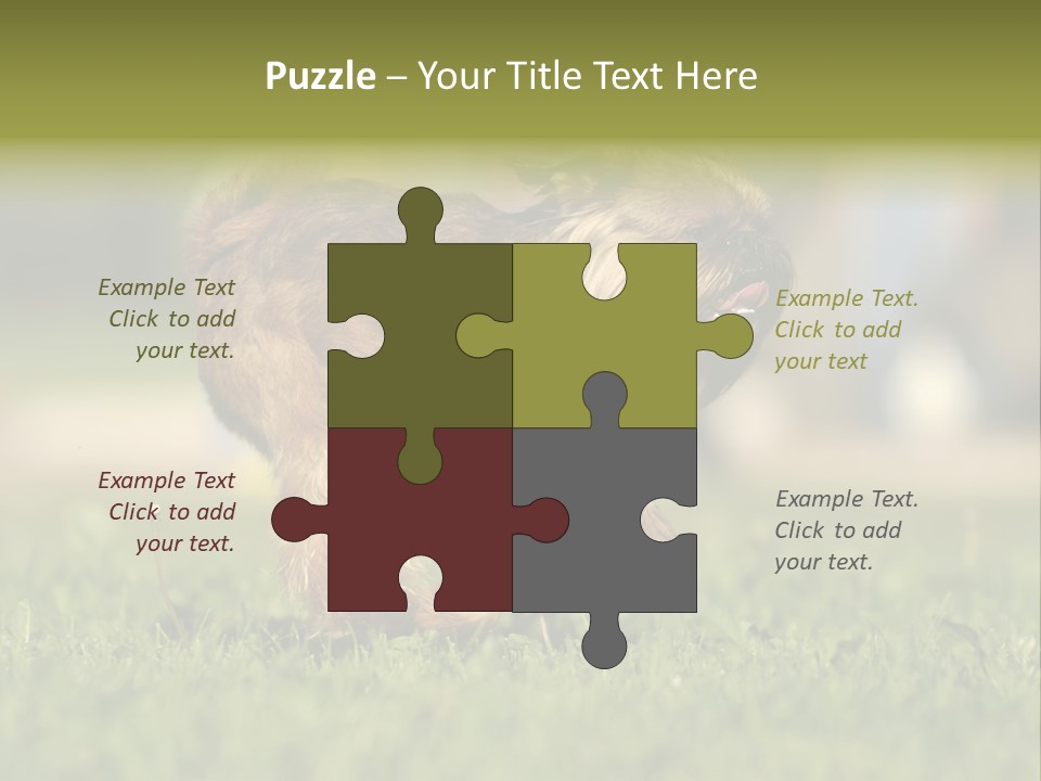 Small Brabant Griffonon PowerPoint Template