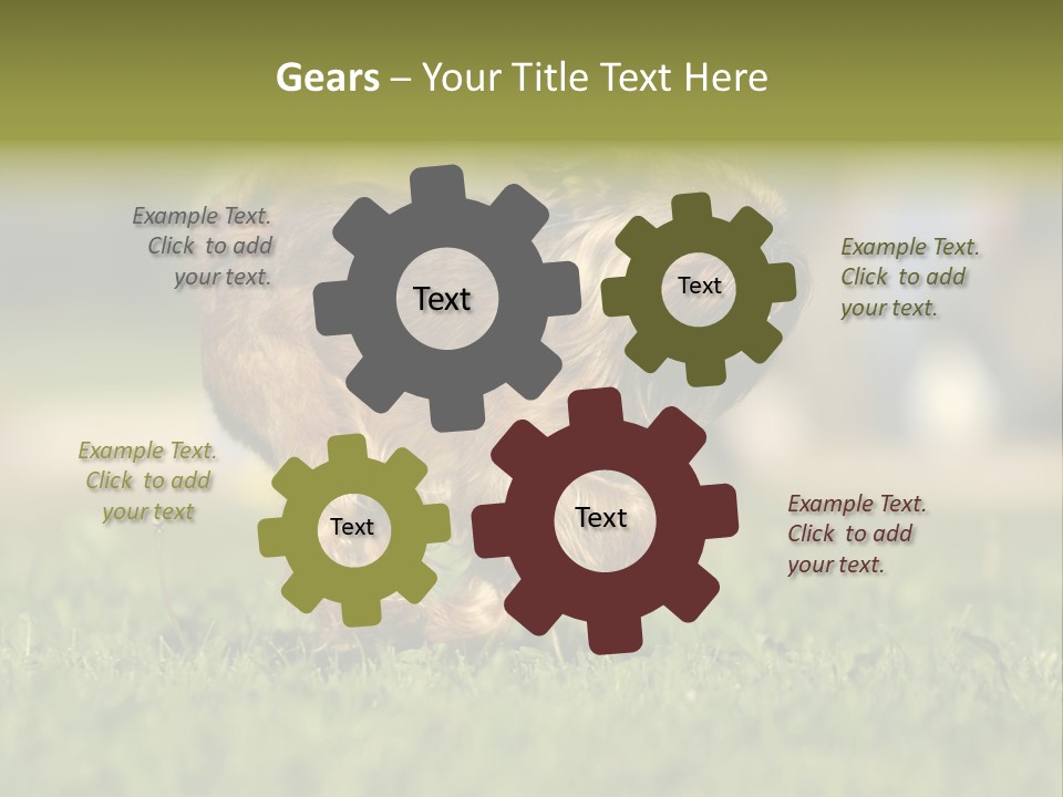 Small Brabant Griffonon PowerPoint Template