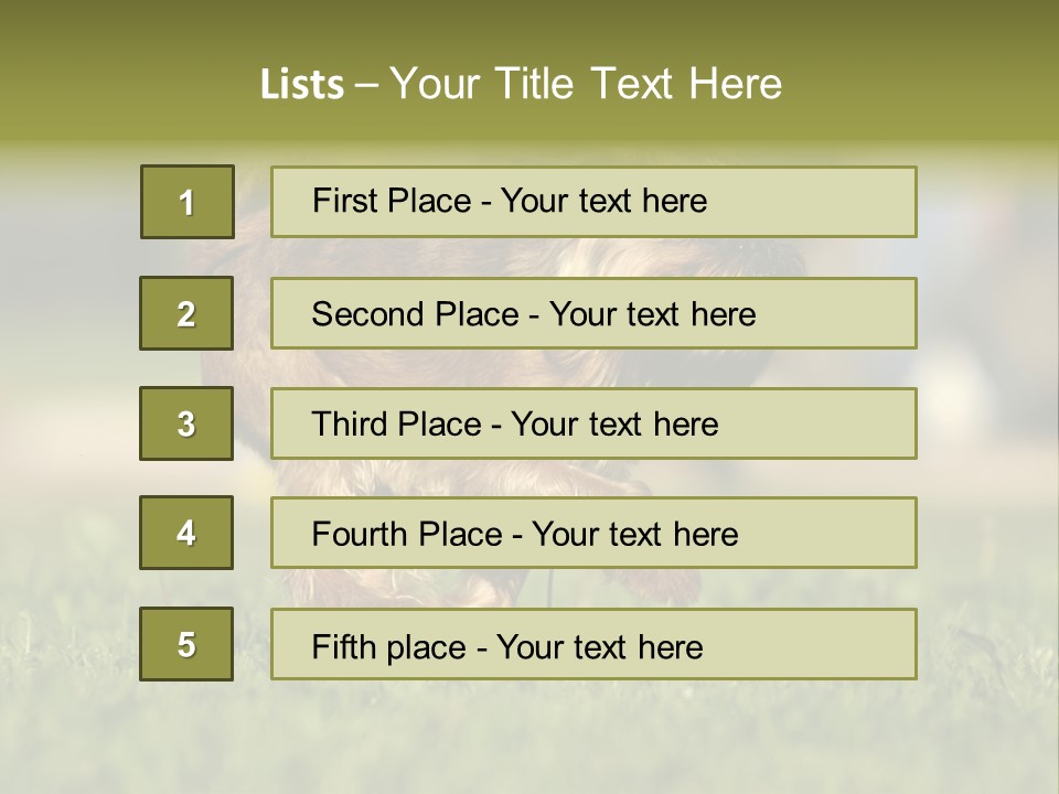 Small Brabant Griffonon PowerPoint Template