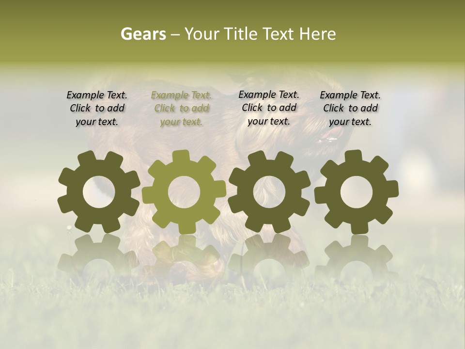 Small Brabant Griffonon PowerPoint Template