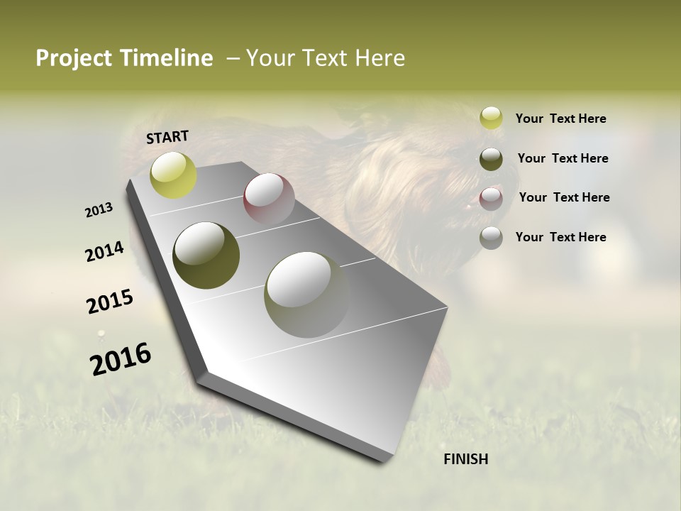 Small Brabant Griffonon PowerPoint Template