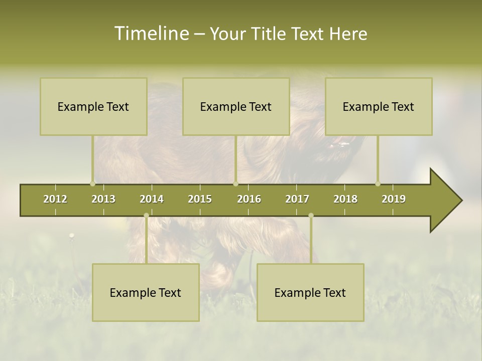 Small Brabant Griffonon PowerPoint Template