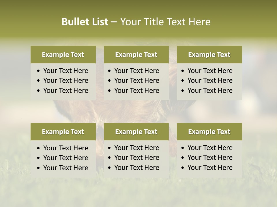 Small Brabant Griffonon PowerPoint Template