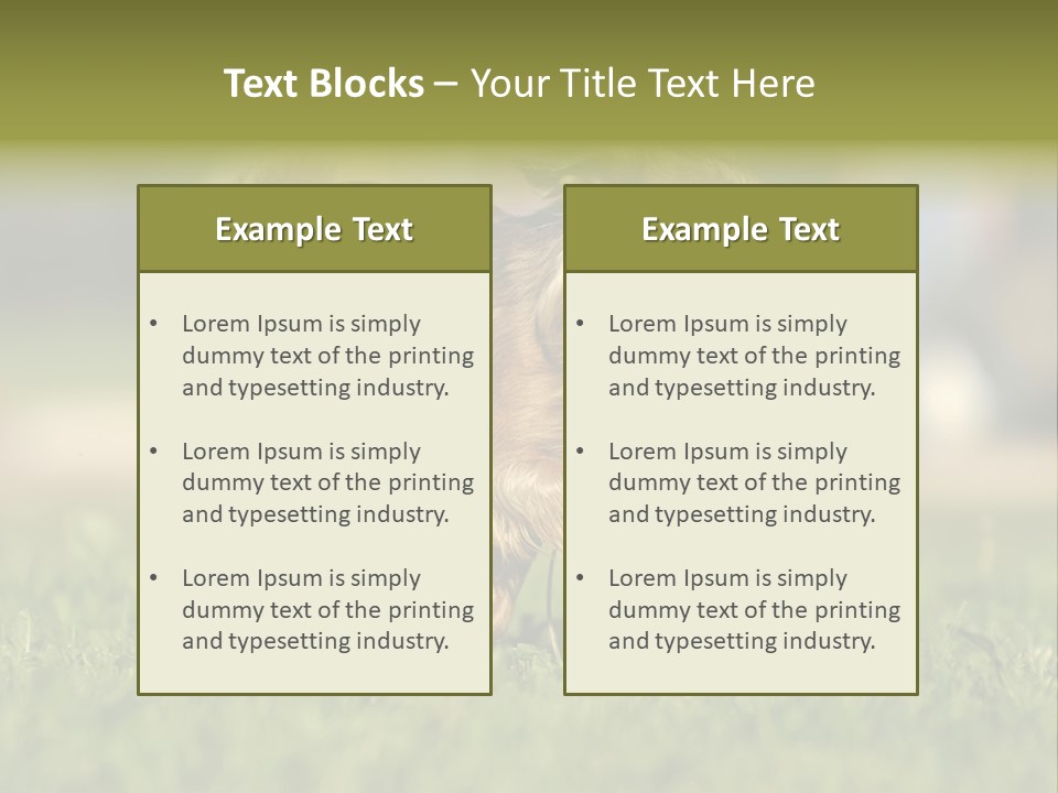 Small Brabant Griffonon PowerPoint Template