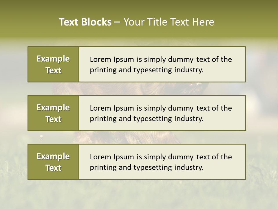 Small Brabant Griffonon PowerPoint Template