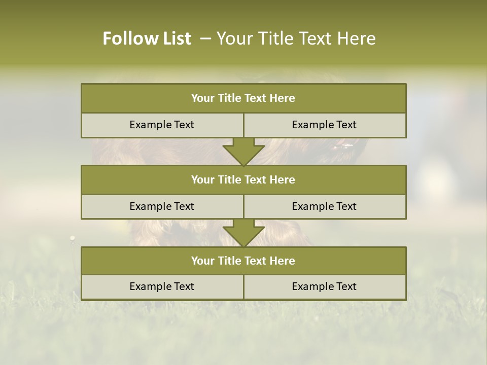 Small Brabant Griffonon PowerPoint Template