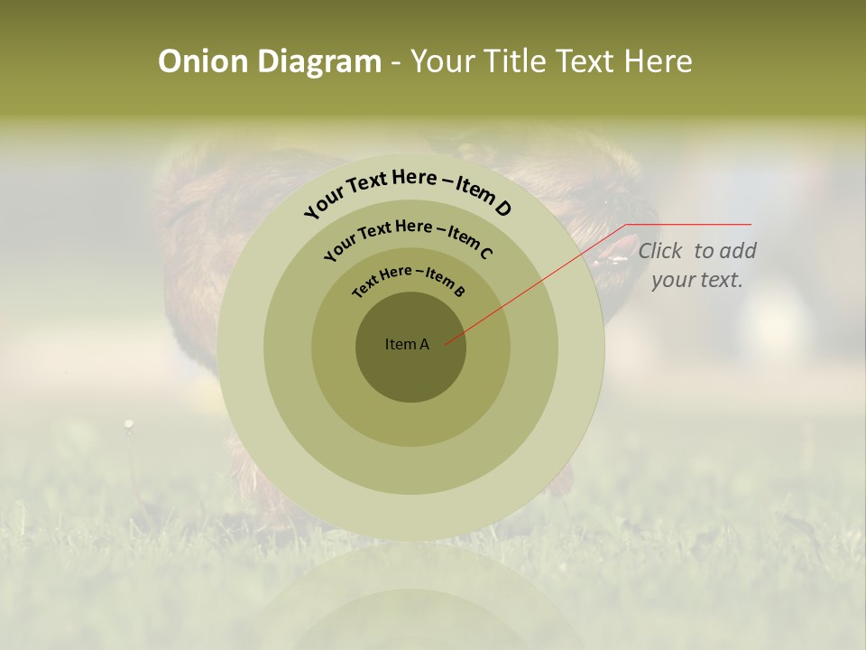 Small Brabant Griffonon PowerPoint Template