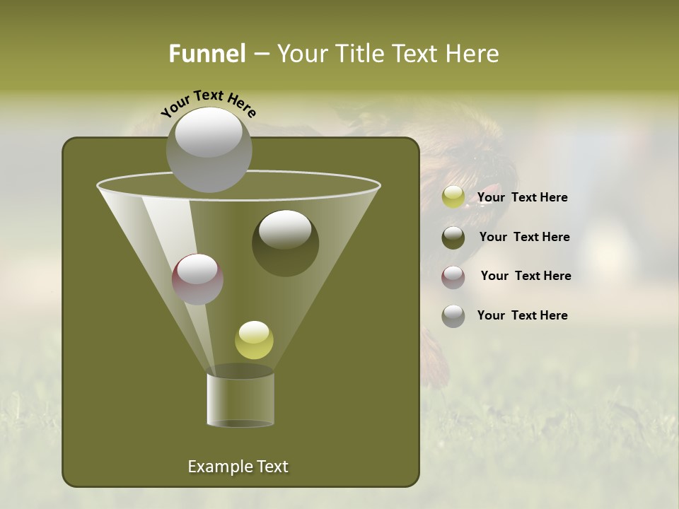 Small Brabant Griffonon PowerPoint Template