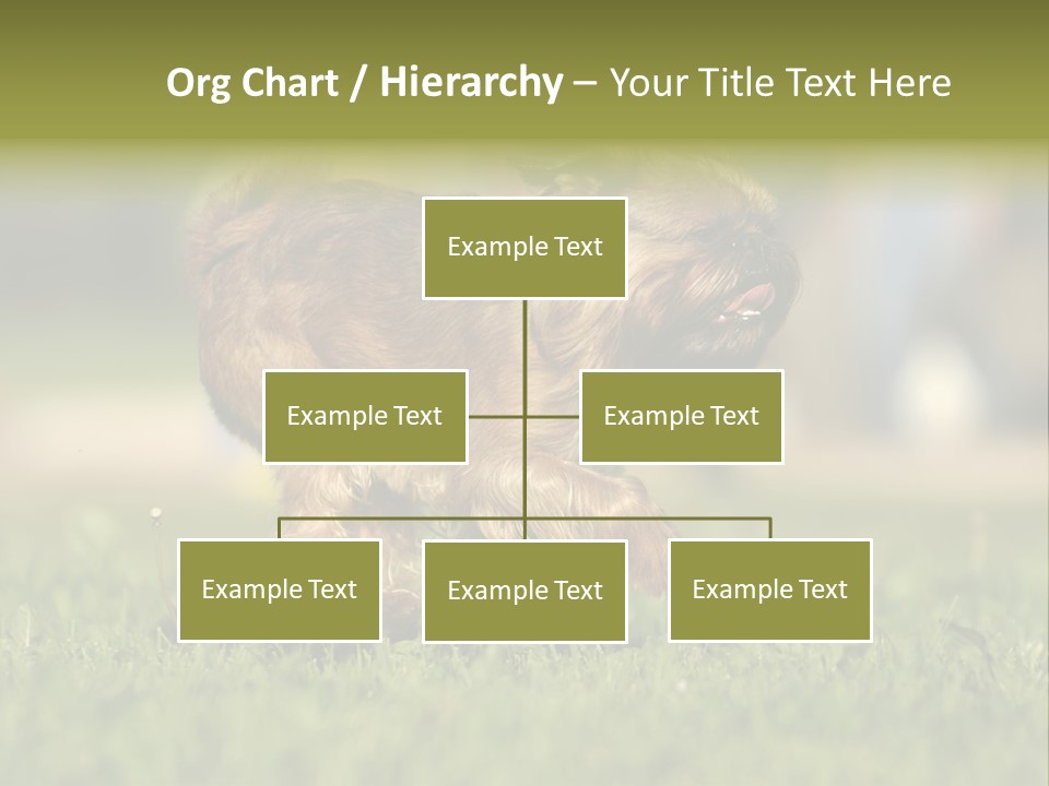 Small Brabant Griffonon PowerPoint Template