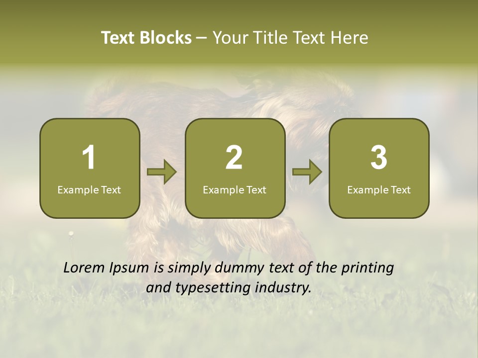 Small Brabant Griffonon PowerPoint Template