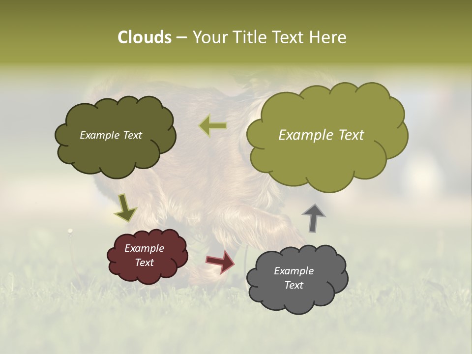 Small Brabant Griffonon PowerPoint Template