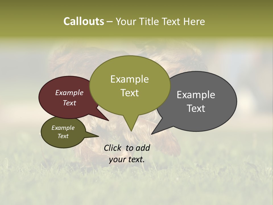 Small Brabant Griffonon PowerPoint Template