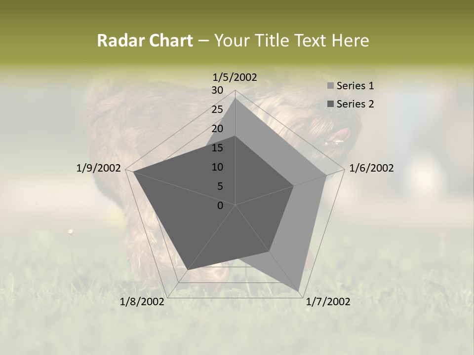 Small Brabant Griffonon PowerPoint Template