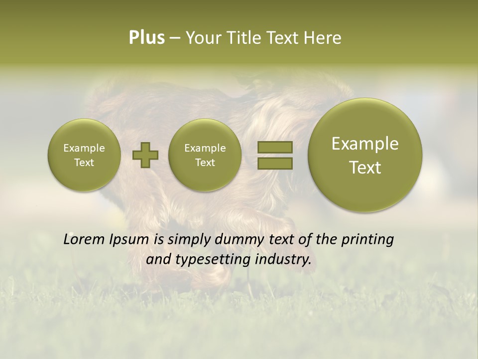 Small Brabant Griffonon PowerPoint Template