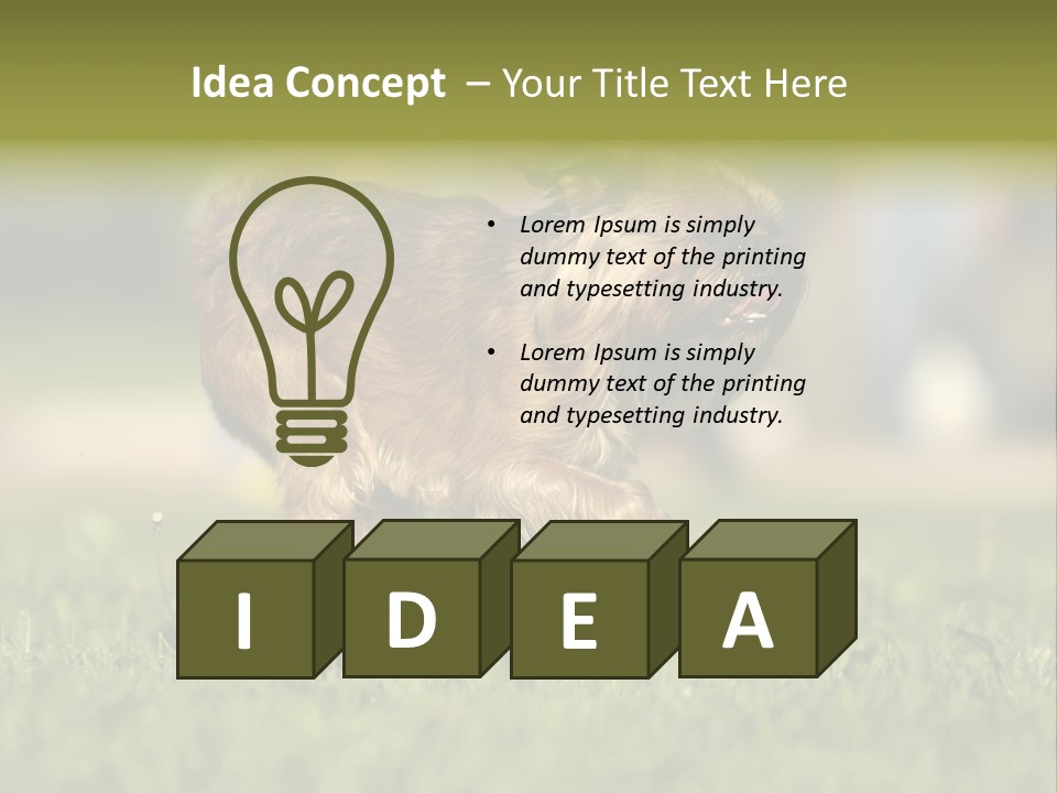 Small Brabant Griffonon PowerPoint Template