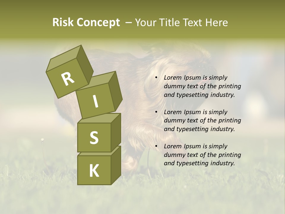 Small Brabant Griffonon PowerPoint Template