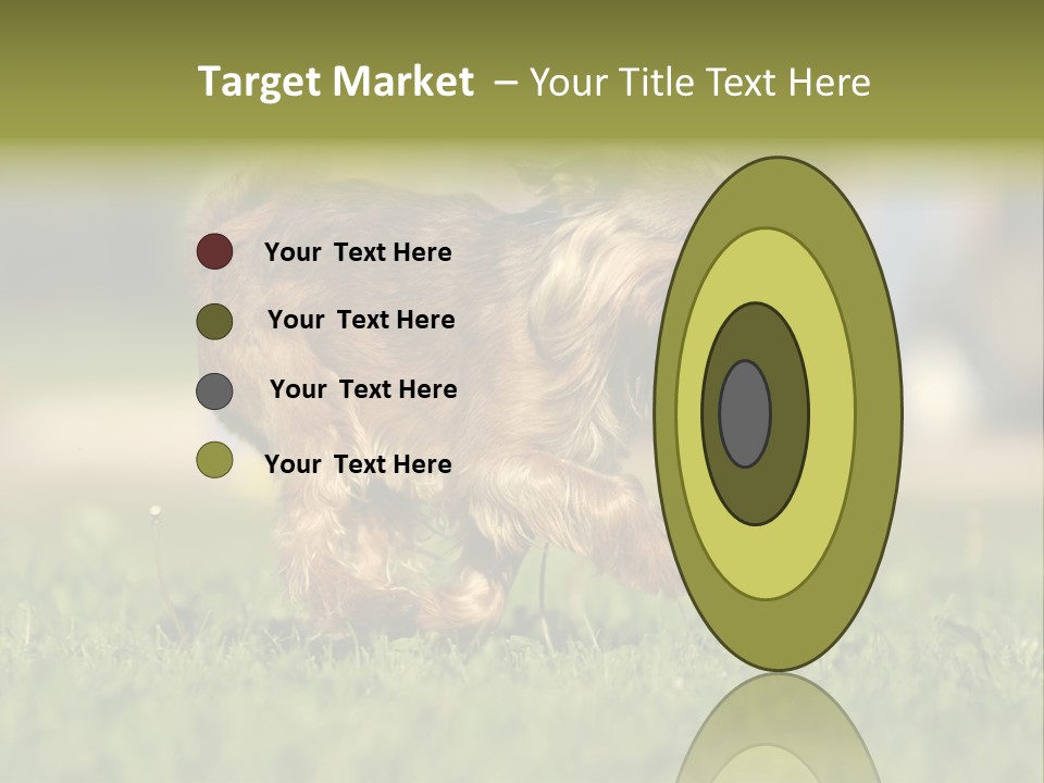 Small Brabant Griffonon PowerPoint Template