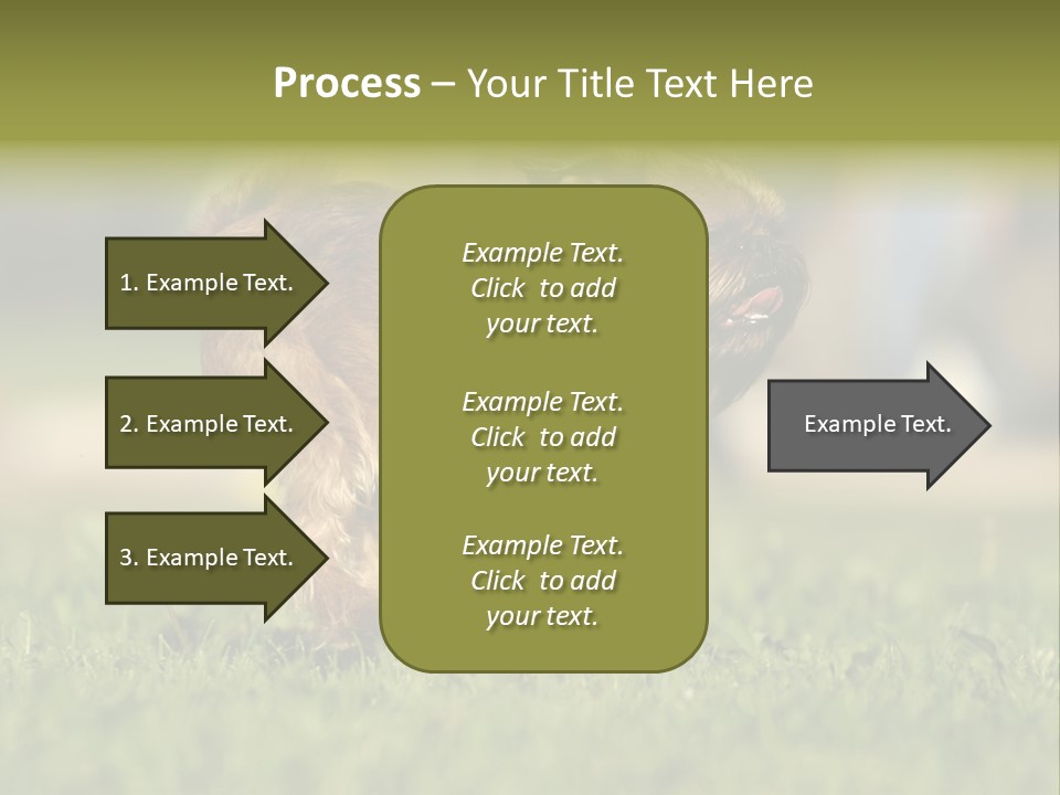 Small Brabant Griffonon PowerPoint Template