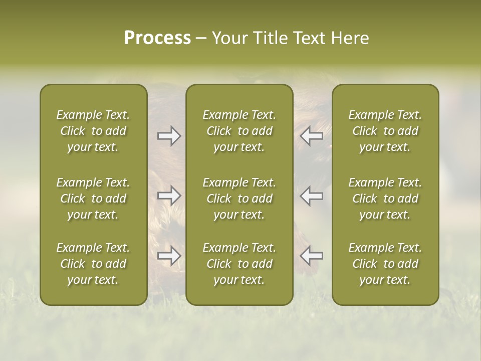 Small Brabant Griffonon PowerPoint Template