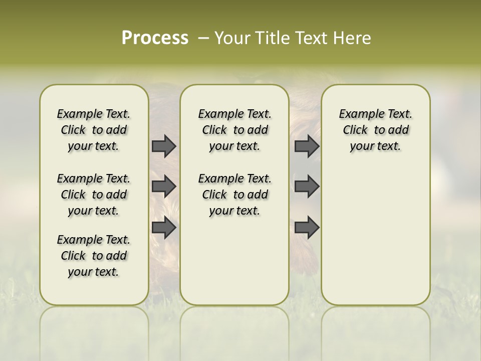Small Brabant Griffonon PowerPoint Template