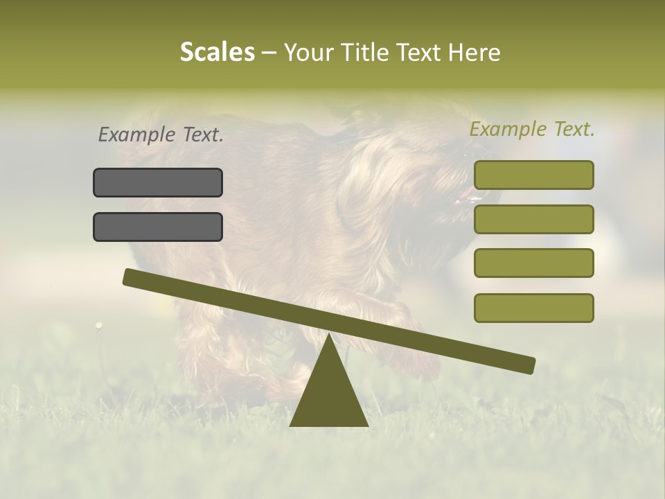 Small Brabant Griffonon PowerPoint Template