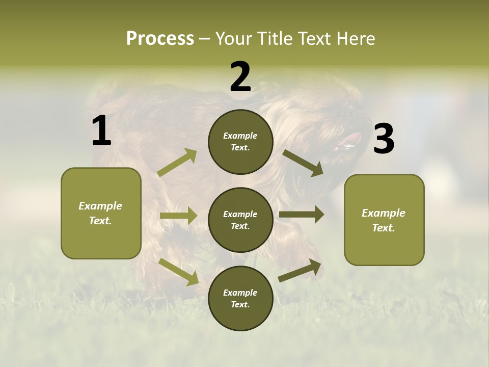 Small Brabant Griffonon PowerPoint Template