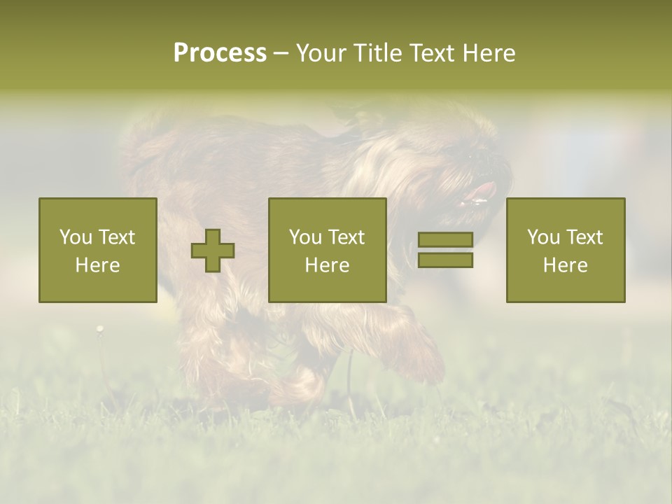 Small Brabant Griffonon PowerPoint Template