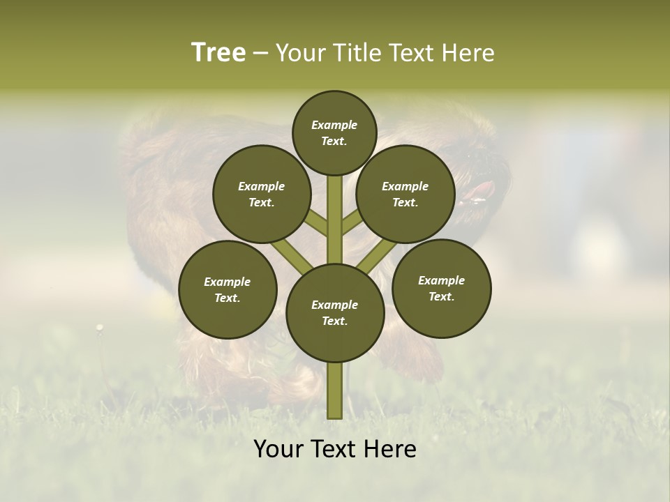 Small Brabant Griffonon PowerPoint Template