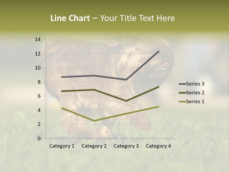 Small Brabant Griffonon PowerPoint Template