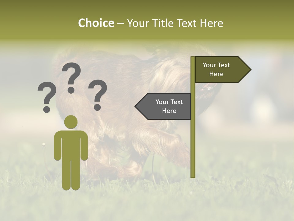 Small Brabant Griffonon PowerPoint Template