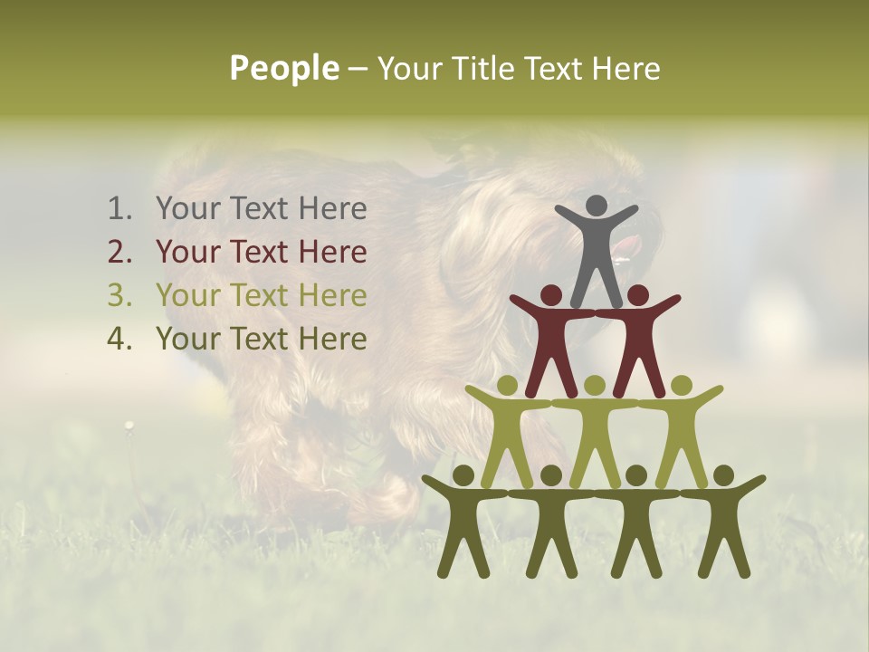 Small Brabant Griffonon PowerPoint Template