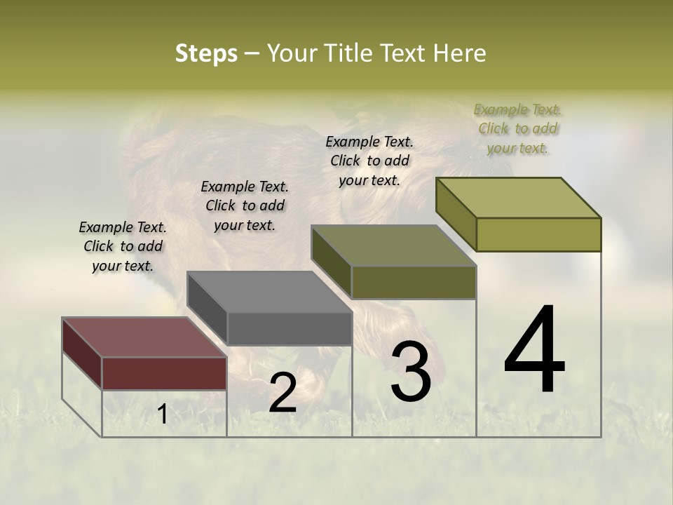 Small Brabant Griffonon PowerPoint Template