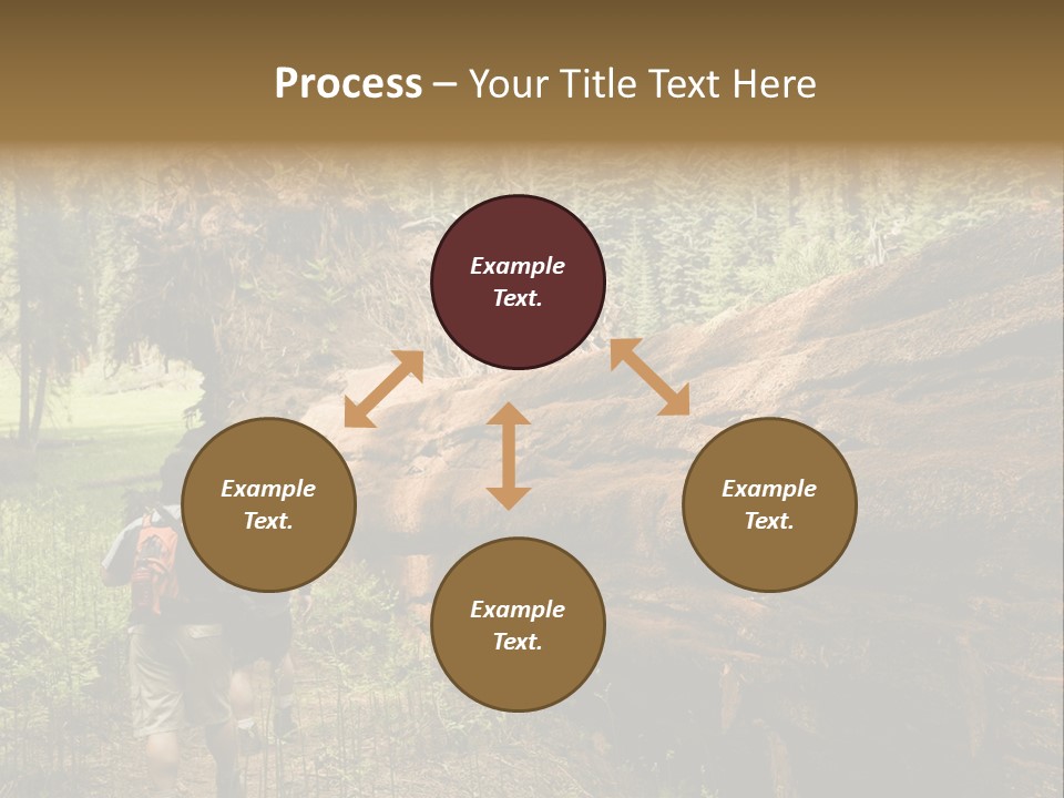 Men Hiking Along Fallen Redwood Tree In Sequoia National Park PowerPoint Template