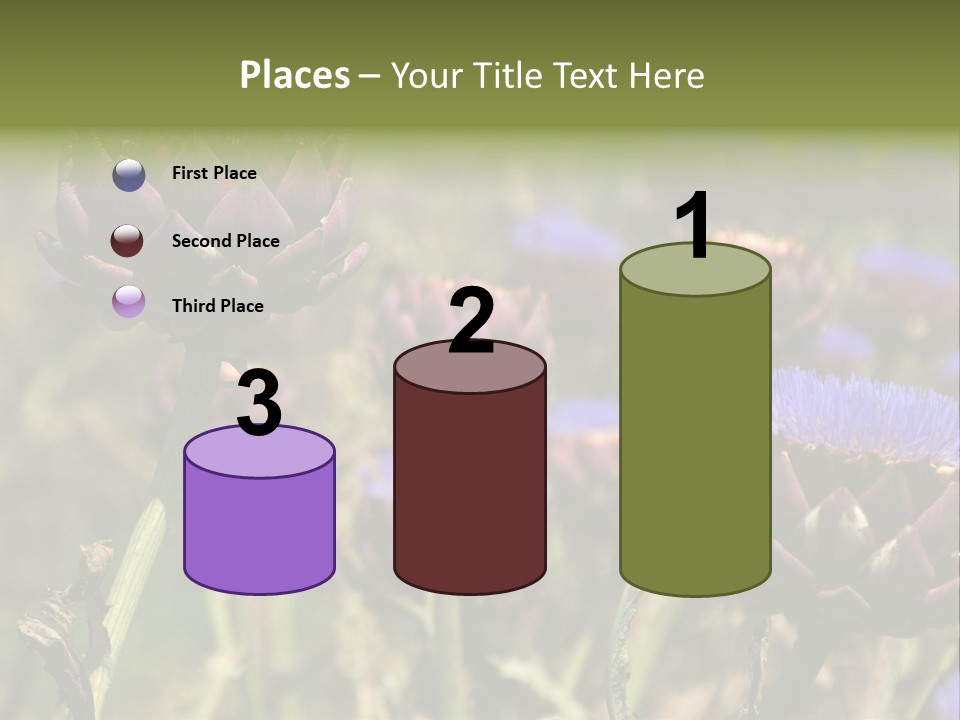 A Field Of Bloomed Artichokes PowerPoint Template