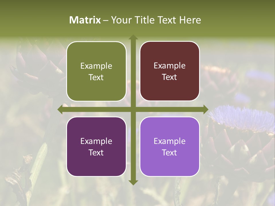 A Field Of Bloomed Artichokes PowerPoint Template