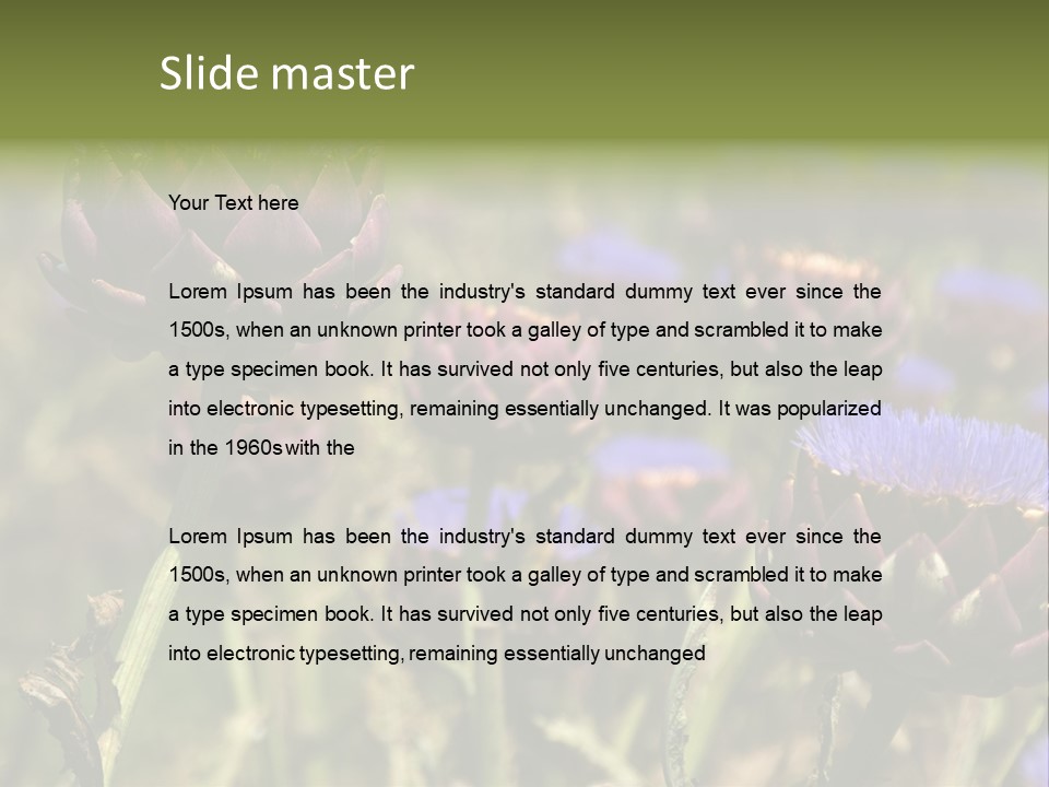 A Field Of Bloomed Artichokes PowerPoint Template