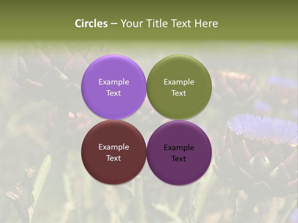 A Field Of Bloomed Artichokes PowerPoint Template
